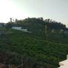 Отель Mithun Hill View, фото 16