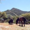 Отель Finca Roca Vista, фото 14