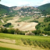 Отель Agriturismo Il Leccio, фото 5