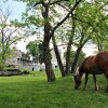 Отель Rocky Acre Farm Bed and Breakfast, фото 21