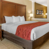 Отель Comfort Inn & Suites, фото 25