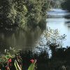 Отель Time Flies on the River 1 Bedroom 1 Bathroom Cabin, фото 14