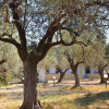 Отель Beautiful Apartment in Nafplion With 3 Bedrooms, фото 13