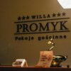 Отель Willa Promyk, фото 38