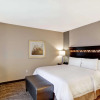 Отель Hampton Inn & Suites- Denver/Airport-Gateway Park, фото 5