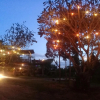 Отель Suandoi Resort Pai, фото 2