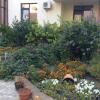 Гостиница Guest House Vivat, фото 12