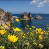 Отель Villa Iris, фото 5