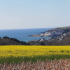 Отель Orchard View Yurt Just Outside Looe, фото 11