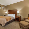 Отель Comfort Inn Walcott near Davenport, фото 6