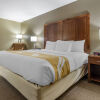 Отель Comfort Inn Grove City - Columbus South, фото 4