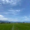 Отель Near Bnb II, фото 8