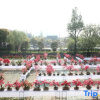 Отель Xuji Express Hotel, фото 6