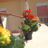 Отель B&B Al Centro Storico, фото 15