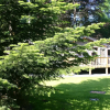 Отель Cozy Chalet in Ardennes near Ourthe River & City of Durbuy, фото 28