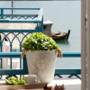Отель Aparthotel 3 Stars Poros, фото 14