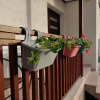 Отель Lubina Apartments, фото 1