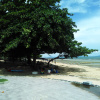 Отель Samal Guesthouse, фото 13