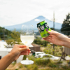 Отель Dot Glamping Fujisan, фото 16