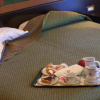 Отель President Hotel Terme, фото 8