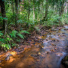 Отель Wild Planet Resort, фото 5