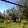 Отель Farmhouse in a Lovely Park Near Florence With Beautiful Pool Among Olive Trees, фото 9