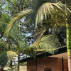 Отель Lifesong Lodge, фото 23