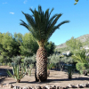 Отель Los Olivos Country Villas Casasol, фото 20