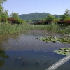 Отель nanjingshitangrenjiahongmeinongjialvshe, фото 3