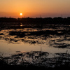 Отель Waterbirds Family, фото 14