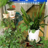 Отель Wenxin Hostel, фото 8