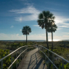 Отель Ocean Sands 801, фото 22