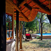 Отель Wild Dogs Safari Lodge, фото 16