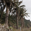 Отель Casa Oásis Atlántico, Rincón Secreto al Pie de los Senderos, фото 1