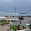 Отель Flamingo Beach, фото 15