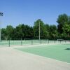 Sports