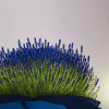 Отель Orvieto Aroma Rooms 1, фото 20