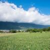 Отель Hualien Tour B&B, фото 9