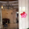 Отель Wolff Hotel, фото 5