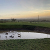 Отель Valley View Luxury Lodges Gamekeepers 4 Bedroomed, фото 21