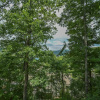 Отель Very Beary Ridge House, фото 16