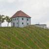 Отель Wine Grower's Mansion Zlati Gric, фото 24