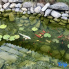 Отель Dali Qiyeju Mountain Viewing Courtyard (Erhai Caicun Branch), фото 9