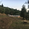 Отель Il Giardino degli Olivi, фото 10