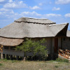 Отель Serengeti Safari Lodge, фото 18