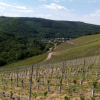 Отель Landgasthof Simon, фото 6