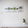 Отель Loft Begonia Cordoba Estacion, фото 11