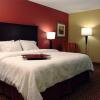 Отель Hampton Inn Mobile Bellingrath Gardens, фото 4