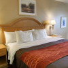Отель Quality Inn & Suites Malvern, фото 17