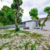Отель Beautiful 3 Bedroom House In Miami, фото 14